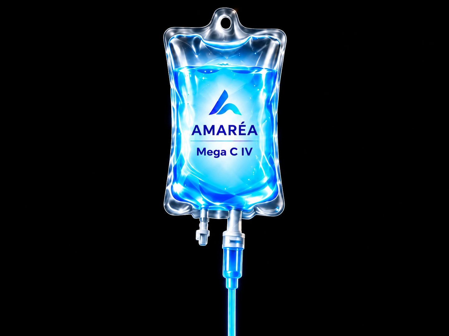 Presentación de Mega C IV del menú AMARÉA